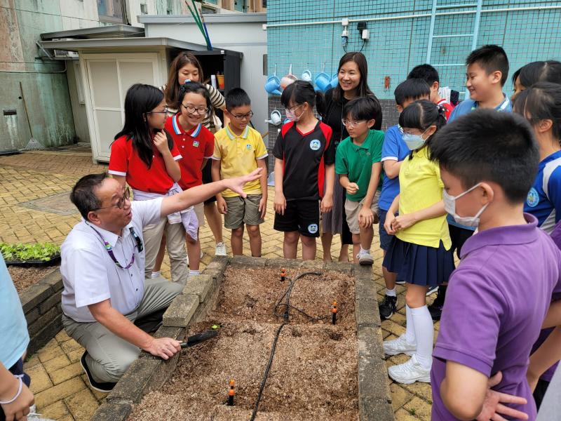 DS3 The first round of organic farming activities