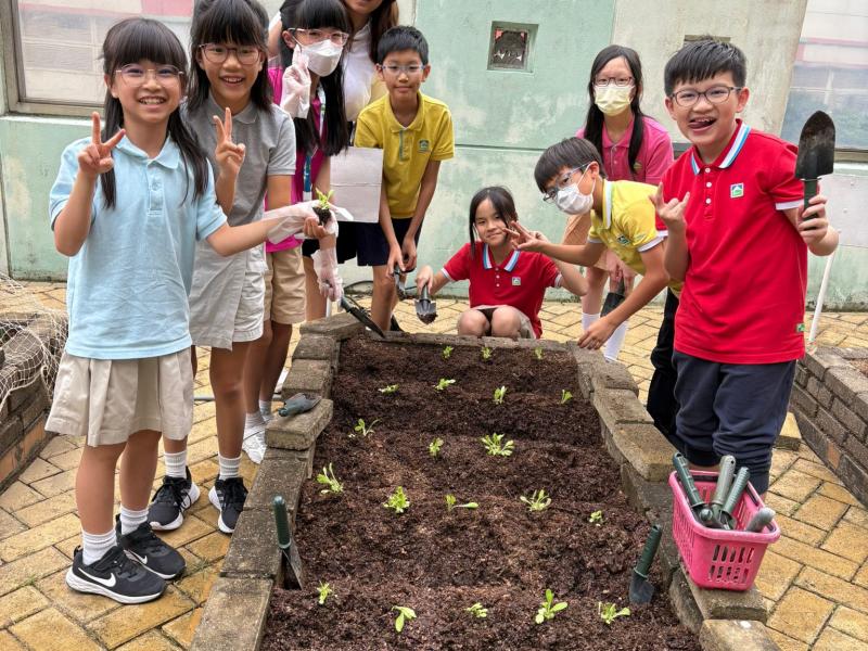 DS3 The first round of organic farming activities