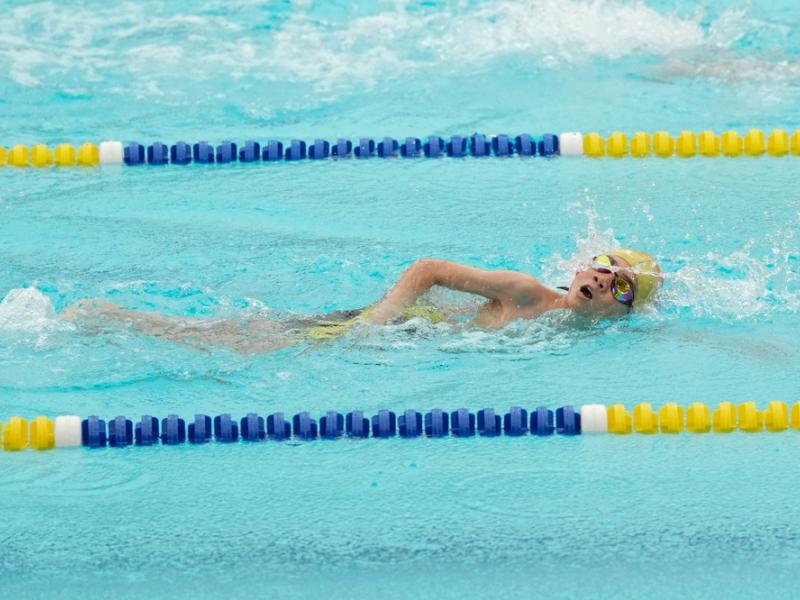 2026 The 9th Swimming Gala