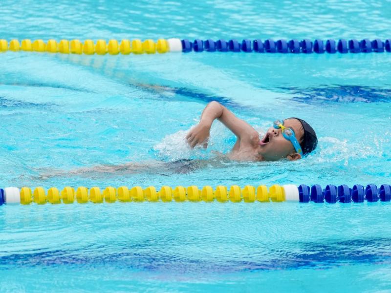 2026 The 9th Swimming Gala