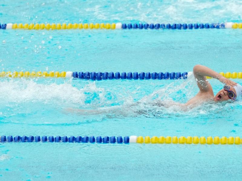 2026 The 9th Swimming Gala