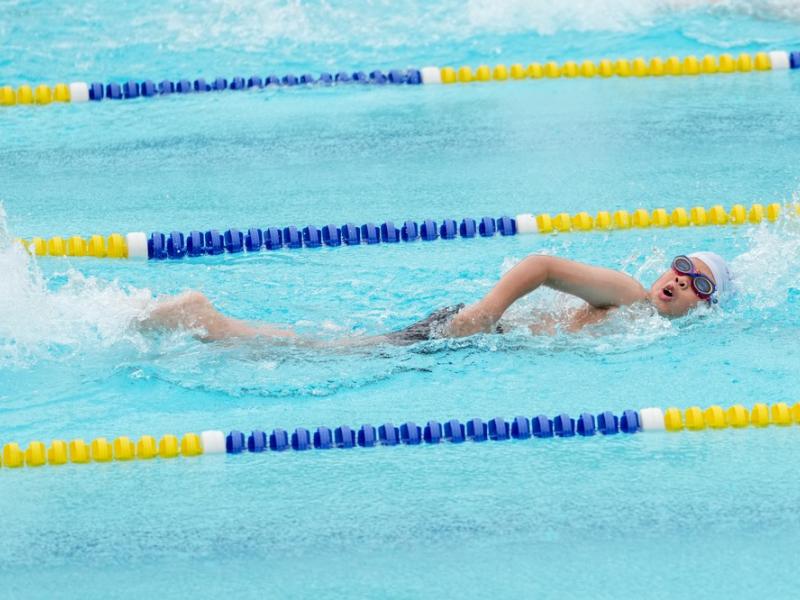 2026 The 9th Swimming Gala
