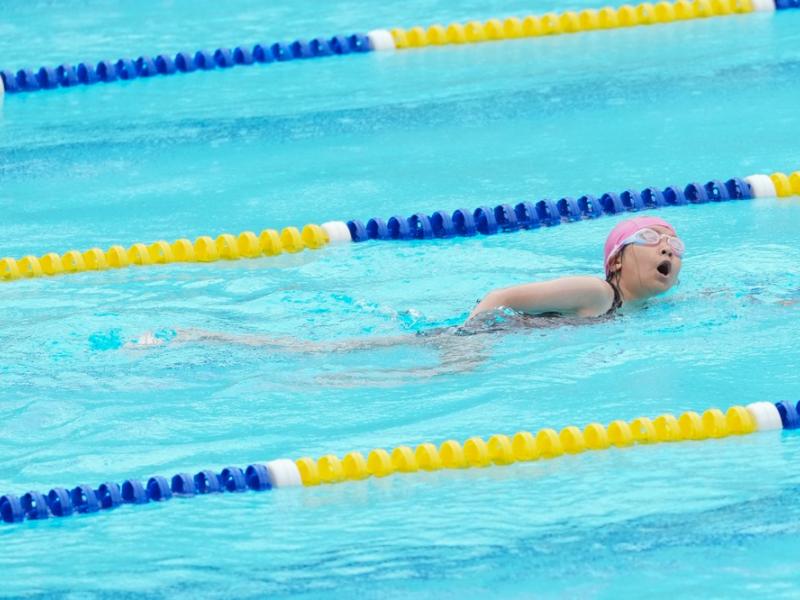 2026 The 9th Swimming Gala
