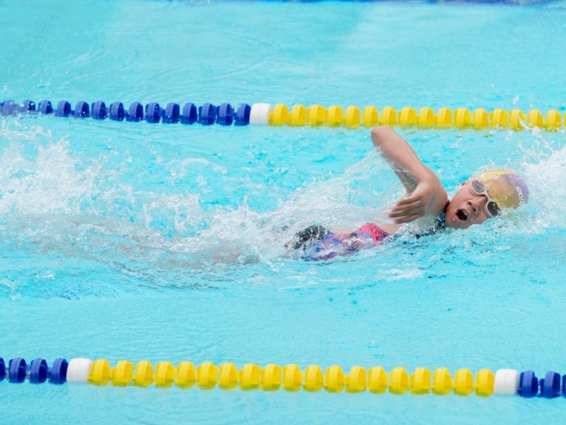 2026 The 9th Swimming Gala