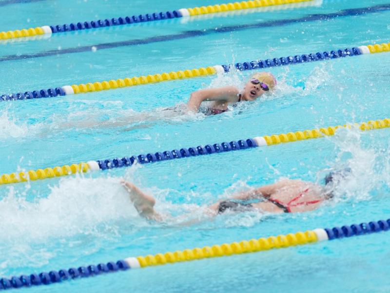 2026 The 9th Swimming Gala