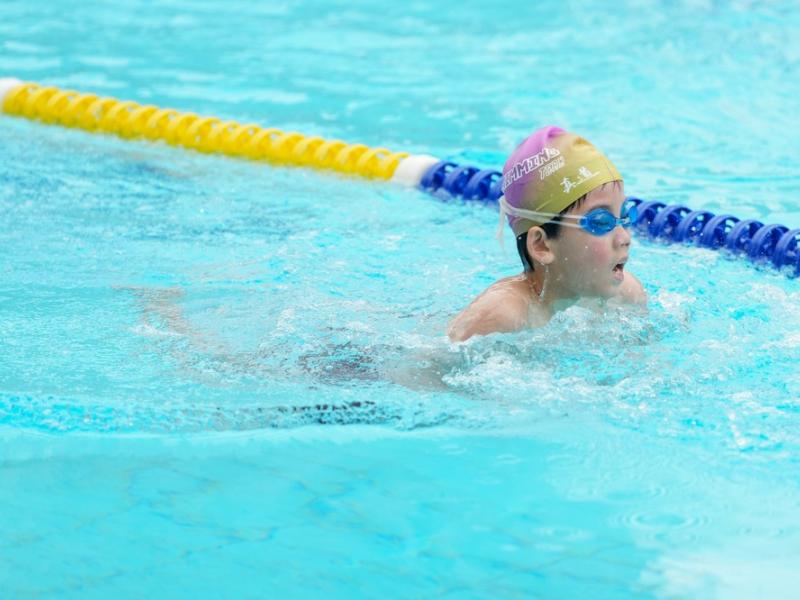2026 The 9th Swimming Gala