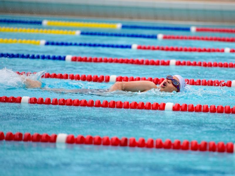 2026 The 9th Swimming Gala