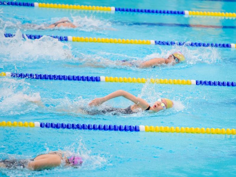 2026 The 9th Swimming Gala