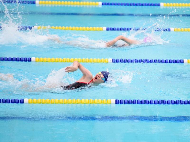 2026 The 9th Swimming Gala