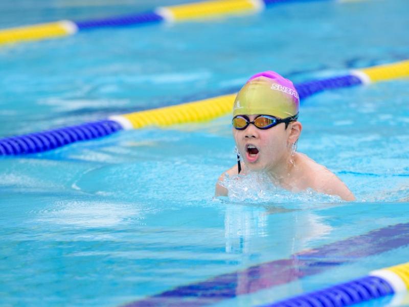 2026 The 9th Swimming Gala