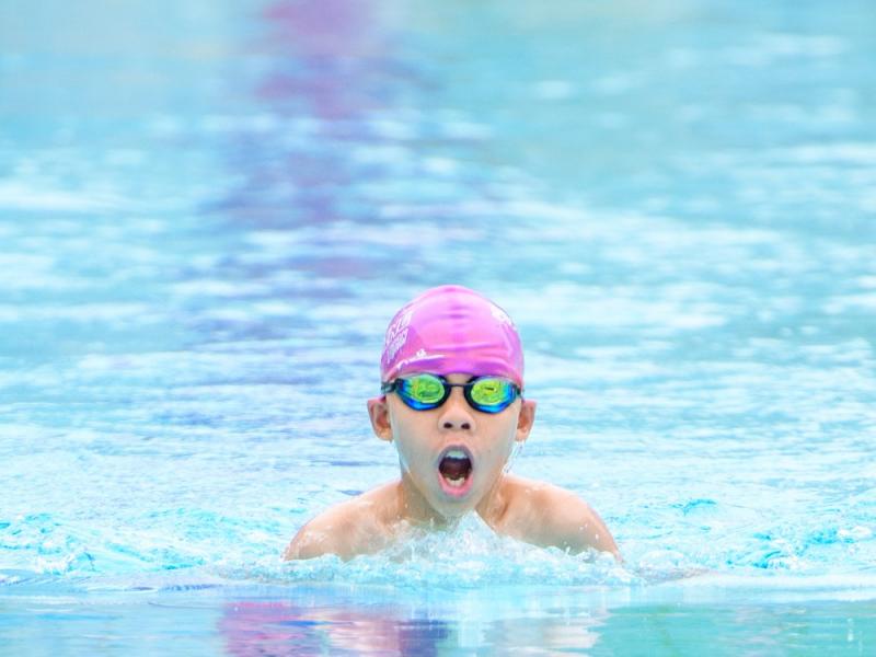 2026 The 9th Swimming Gala