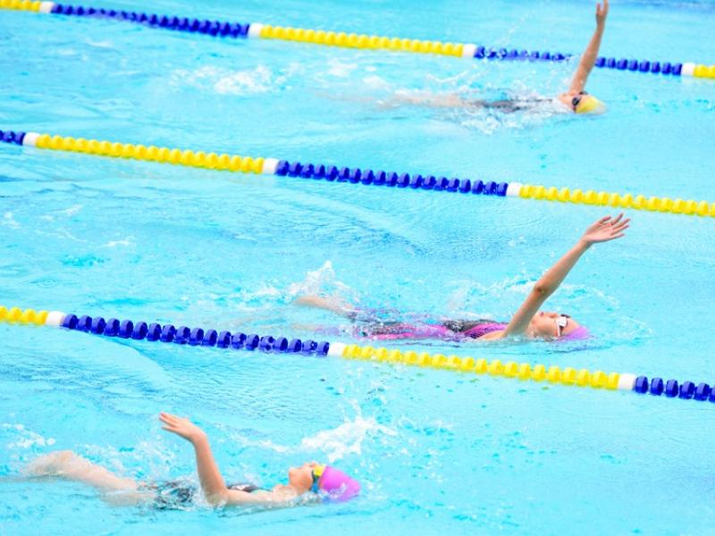 2026 The 9th Swimming Gala