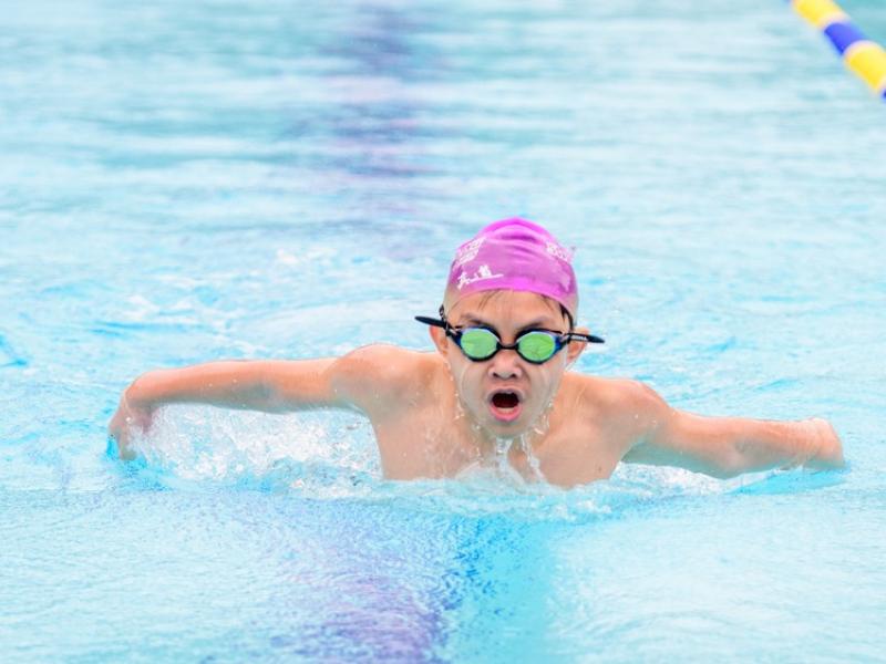 2026 The 9th Swimming Gala