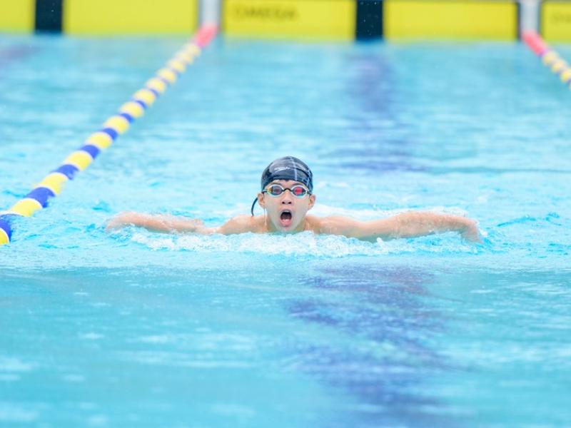 2026 The 9th Swimming Gala