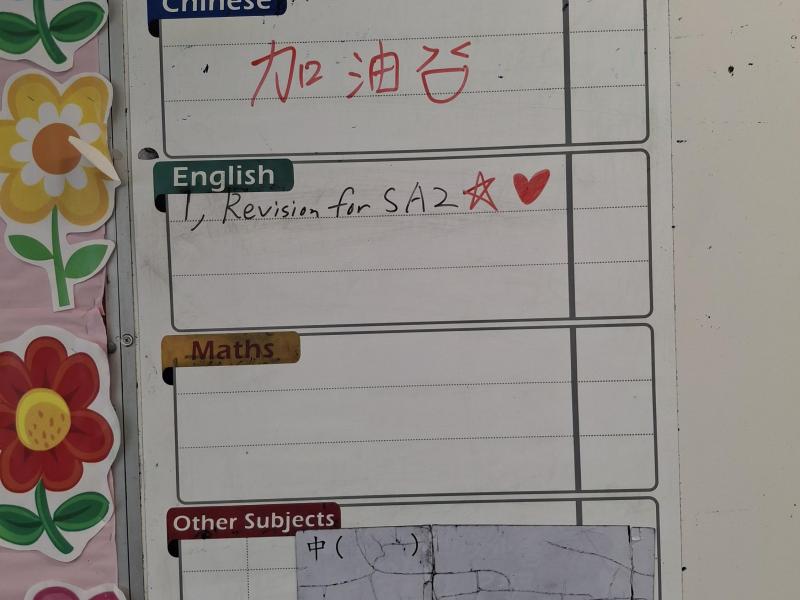 DS1T-2025-06-12