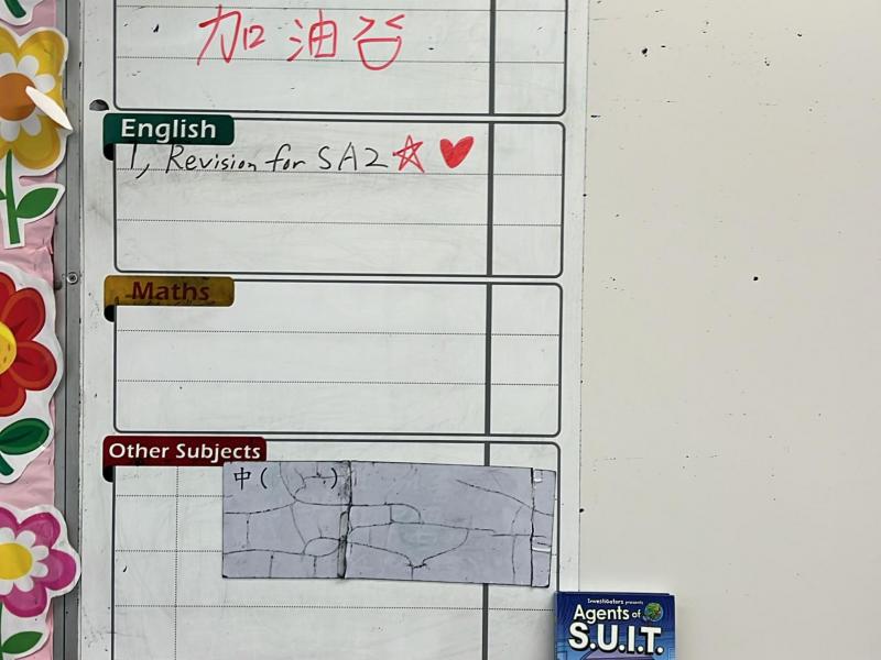 DS1T-2025-06-19