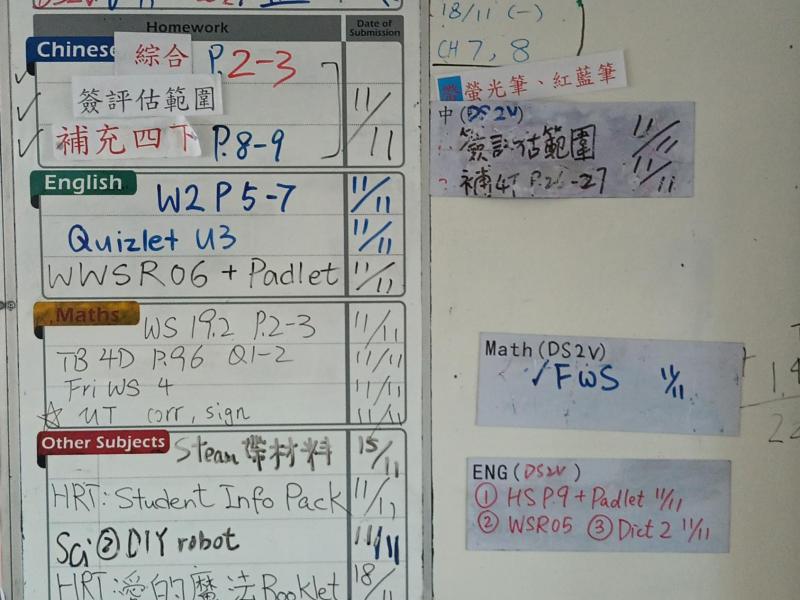 DS2V-2024-11-08