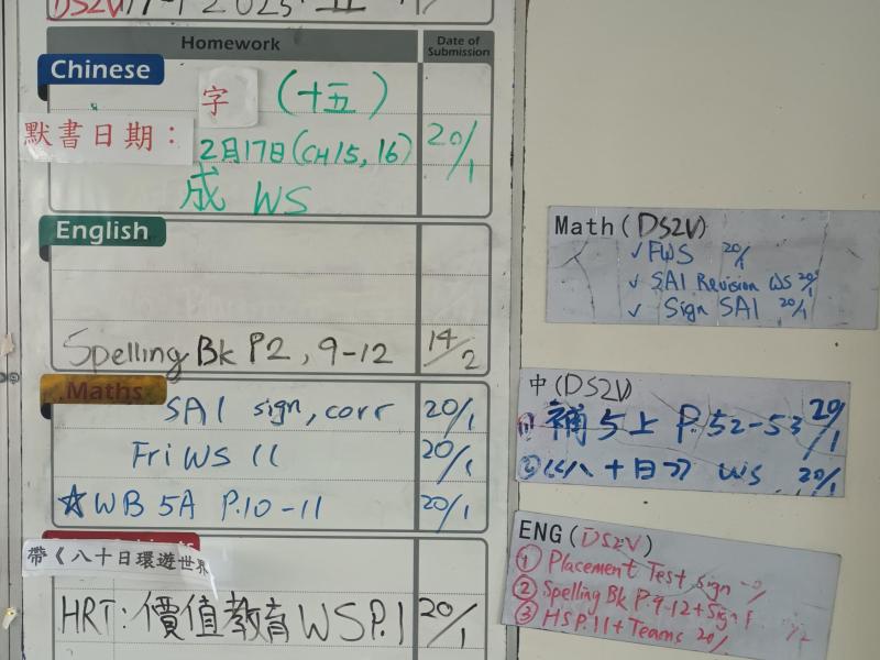 DS2V-2025-01-17