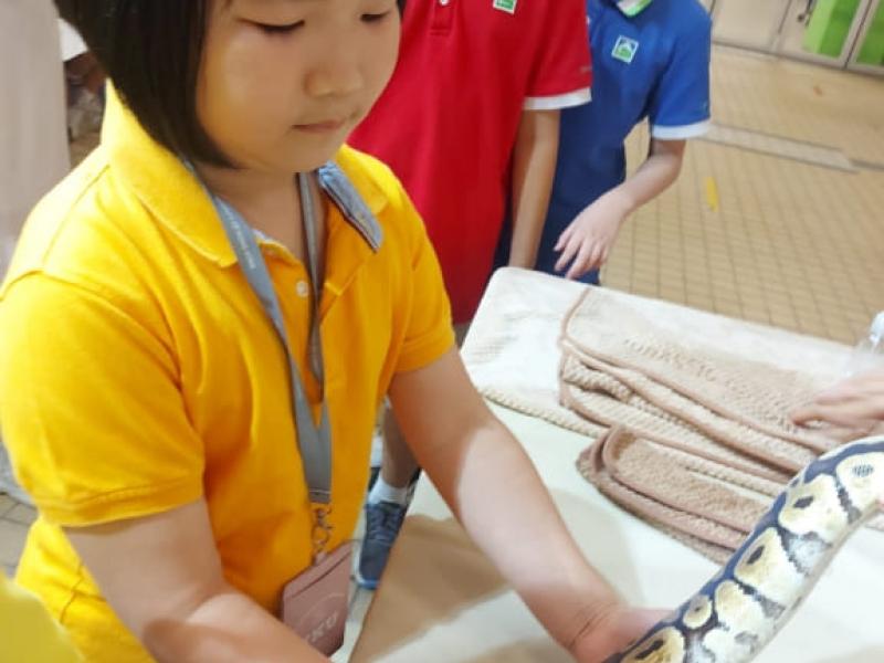 2023-06-27_2023-07-03_transdisciplinary_learning_tdl_66