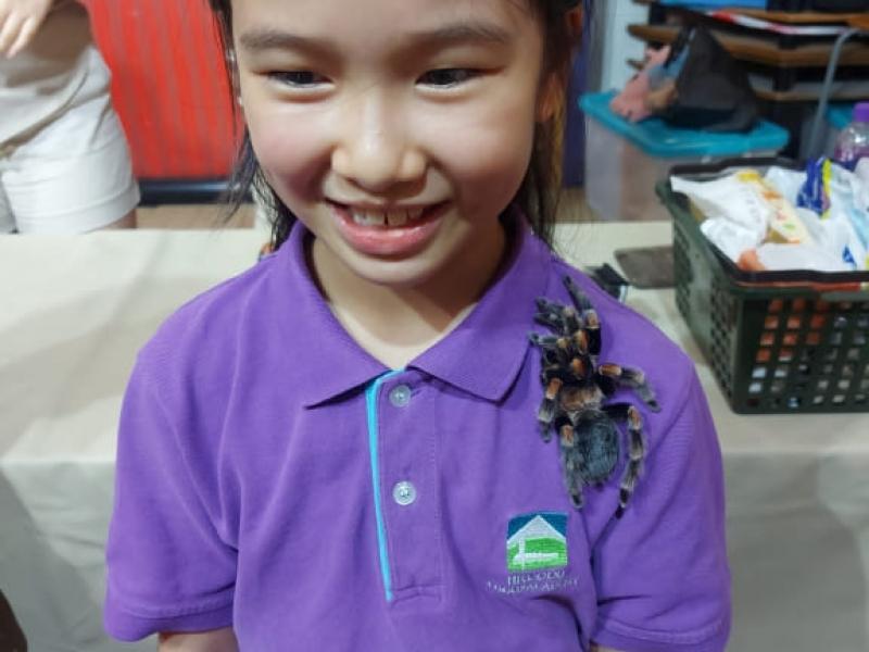 2023-06-27_2023-07-03_transdisciplinary_learning_tdl_111