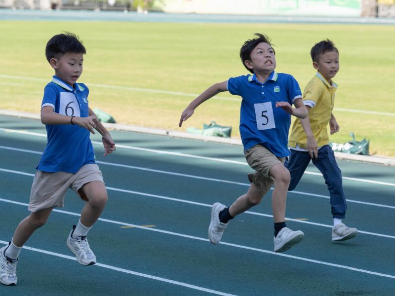 2024-25 Sports Day (Primary Division)