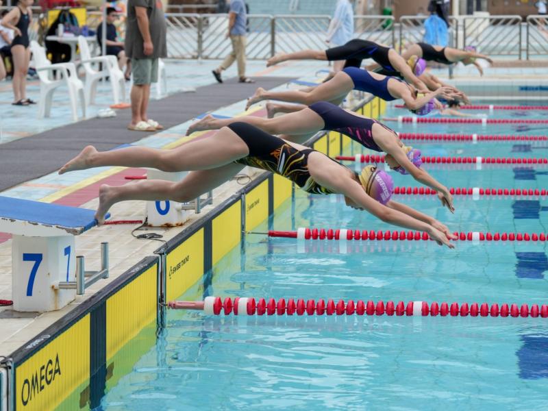 2025 The 8th Swimming Gala