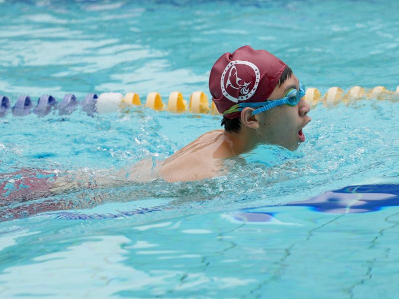 2025 The 8th Swimming Gala