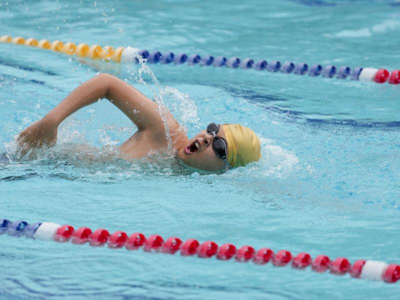 2025 The 8th Swimming Gala
