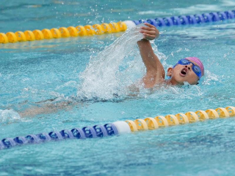 2025 The 8th Swimming Gala