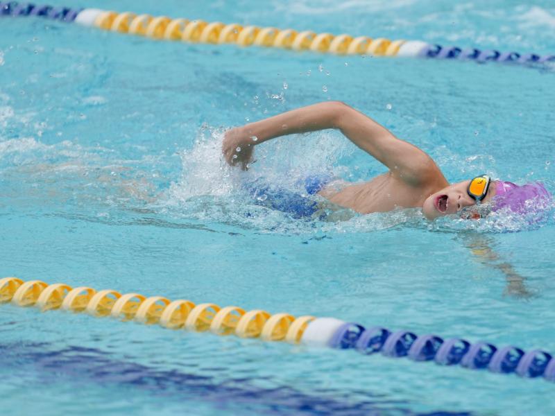 2025 The 8th Swimming Gala