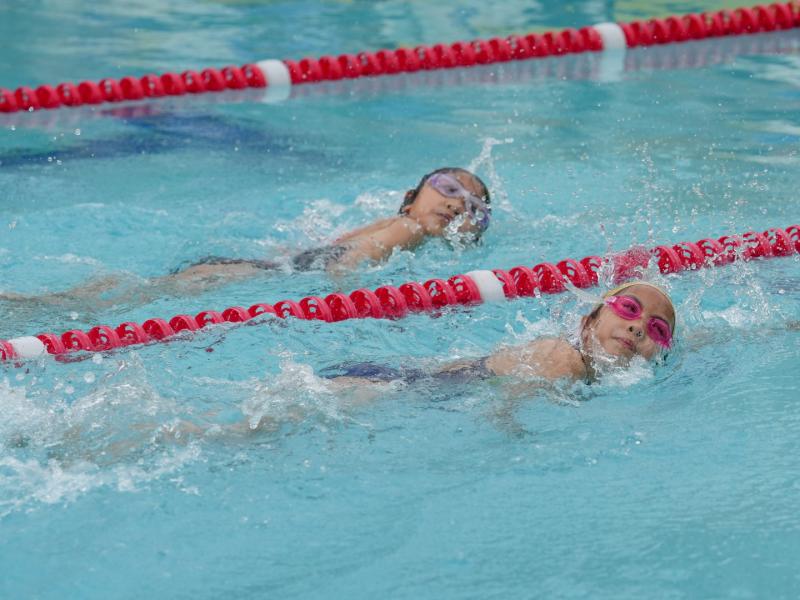 2025 The 8th Swimming Gala