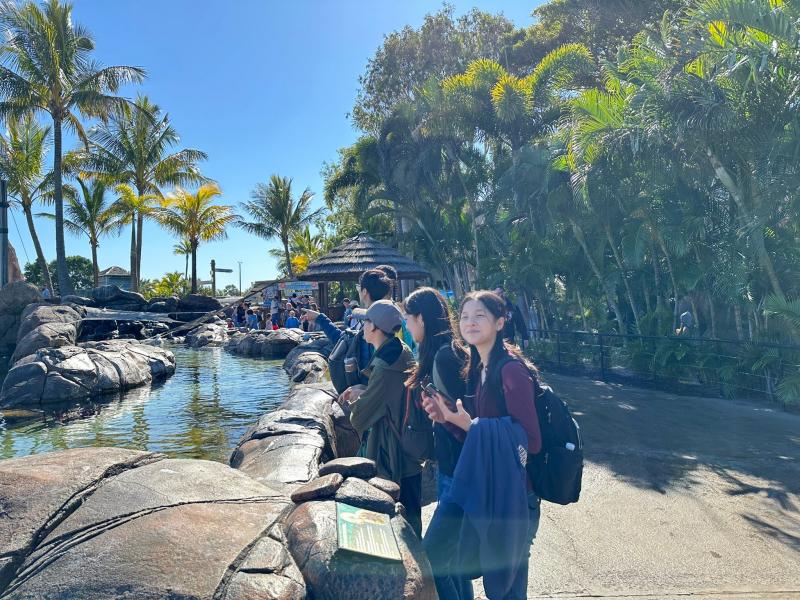 English Study Tour to Queensland (Australia)