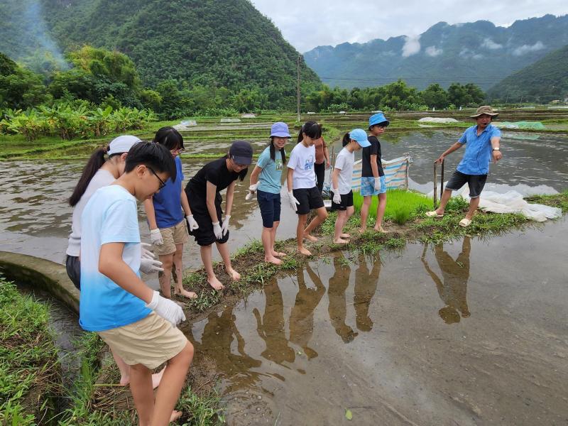 Hanoi Summer Service-Learning Program (Vietnam)