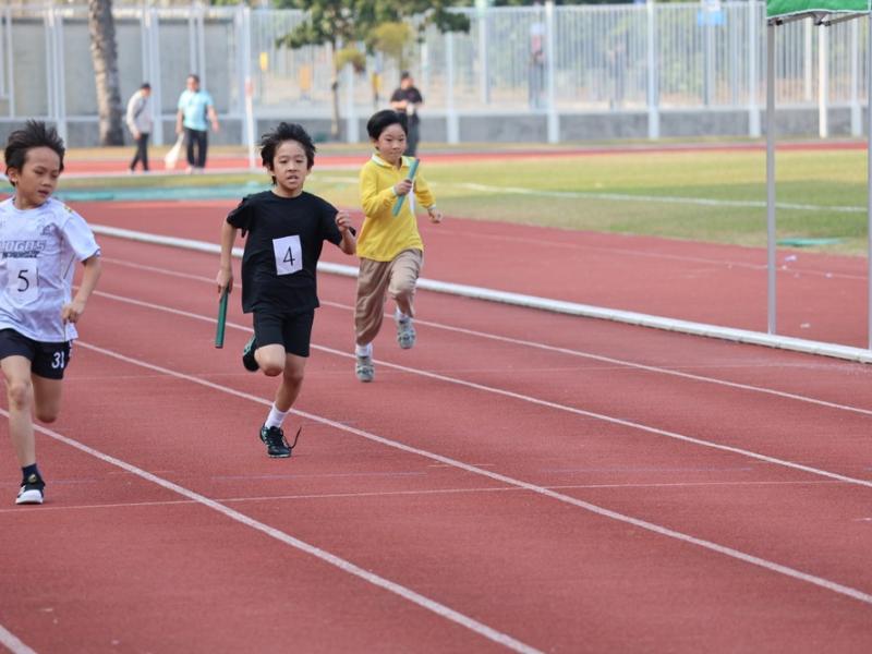 2025-2026 The 19th Sports Day (Primary Division)